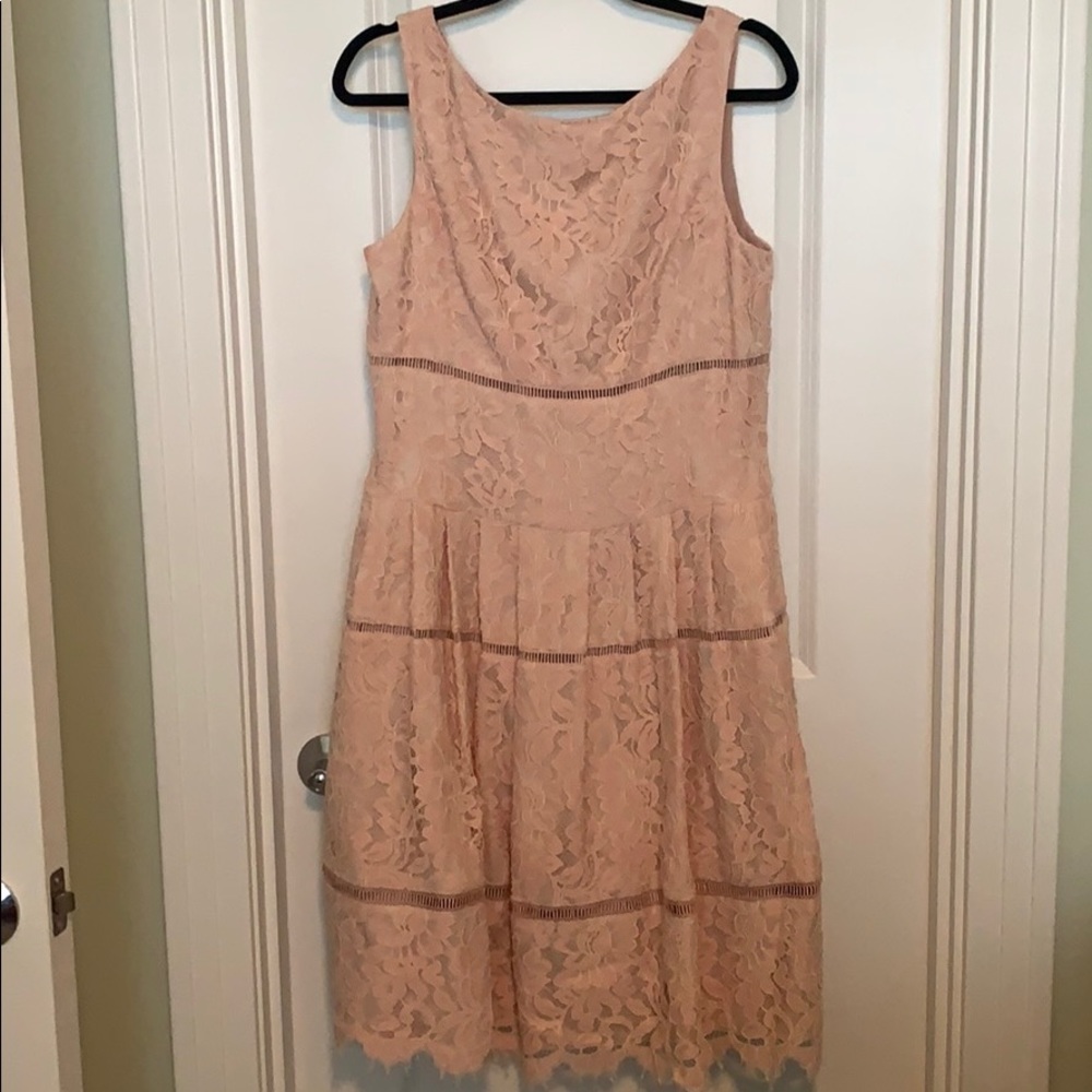 Eliza J Fit & Flair Blush Lace Dress